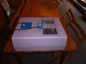 P1040599